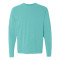 T-shirt manches longues épais teinté en pièce