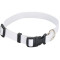 Collier pour animaux de compagnie en couleur de 3/4 po de large