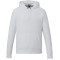 Sweat à capuche en polaire classique unisexe DAYTON