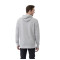 Sweat à capuche en polaire classique unisexe DAYTON