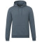 tentree Chandail à capuchon classique en coton biologique - Homme