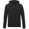 tentree Chandail à capuchon classique en coton biologique - Homme