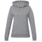 tentree Chandail à capuchon Banshee en coton biologique - Femme
