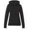 tentree Chandail à capuchon Banshee en coton biologique - Femme